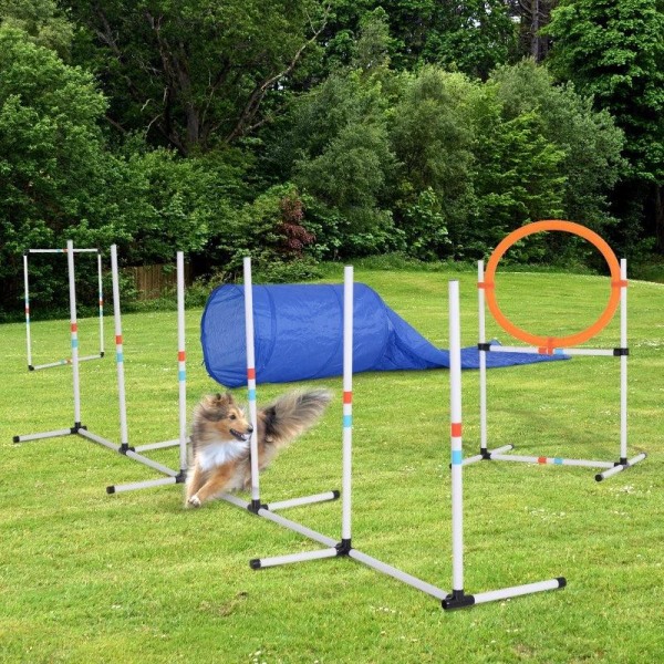 Rootz Dog Agility Set - Träningsset för husdjur - Träningsset fö