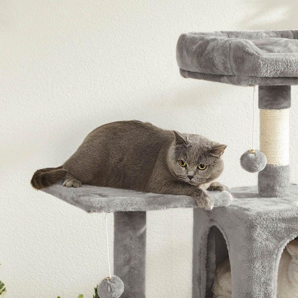 Rootz Cat Tree - Kissapuu riippumatolla - Raaputustolppa - Kissan raapimistolppa - Moderni kissapuu - Korkea kissapuu - Riippumatolla varustettu kissa