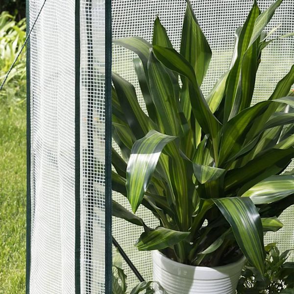 Rootz Folie Drivhus - Bærbart Plantehus - Tomathus - Pulverlakeret stål - UV-resistent PVC - 100 cm x 50 cm x 150/136 cm