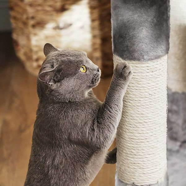 Rootz Cat Scratching Post - Tall Scratcher - Cat Tree - Spånskivakonstruktion - 49cm x 45cm x 120cm