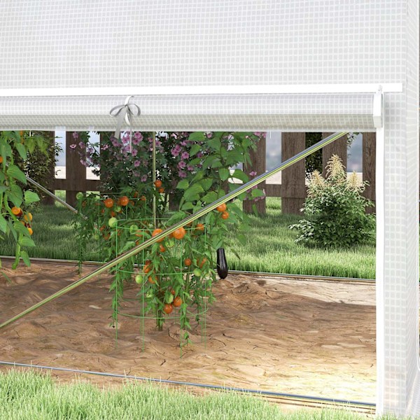 Rootz Polytunnel Greenhouse - Tunnel Greenhouse - Garden Canopy - UV Resistent Protection - 300cm x 200 cm x 200 cm