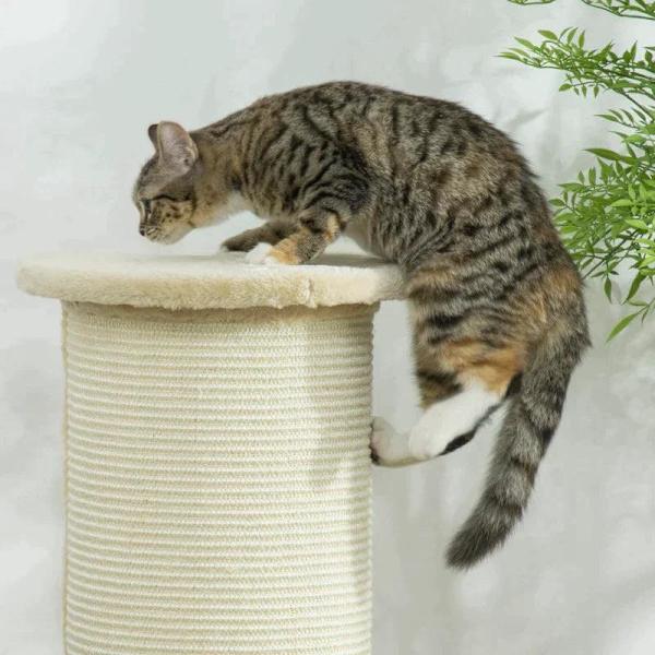 Rootz Scratching Barrel - Corner Scratcher - Corner Design - Space Saving - Creme White - 35cm x 35cm x 85cm