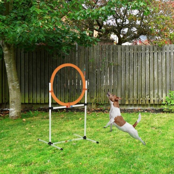 Rootz Dog Training Set - Hoppring - Pet Agility - Pet Training - Vit/Orange - 74,5 x 66 x 91 cm