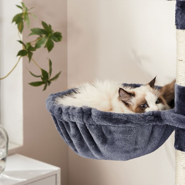 Rootz Cat Scratching Post Tree - Kattmöbler - Högt Scratching Tower - Lekplats i flera plan - Sisalstolpar - 60cm x 50cm x 206cm