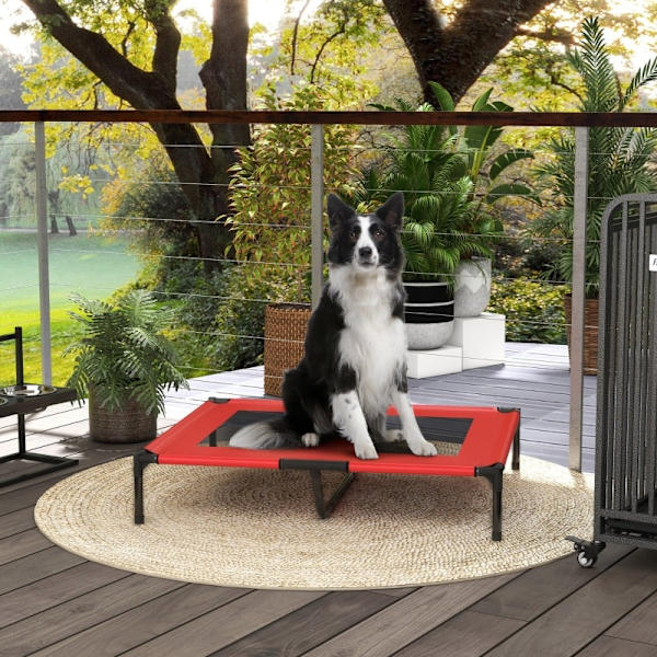 Rootz Portable Pet Bed - Lätt hundsäng - Raised Pet Cot - Oxford-tyg - Meshöverdrag - Lätt att rengöra - 92cm x 76cm x 18cm