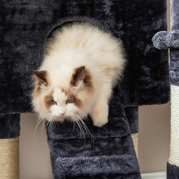 Rootz Multi-Leer Cat Tree - Skrapstolpe - Condo Tower - Förhöjda plattformar - 50cm x 45cm x 142cm - Smoke Grey - Chipboard Plysch Sisal - 14kg