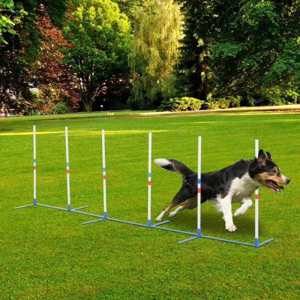 Rootz Dog Agility Set - Dog Training Kit - Dog Braiding Rod - St