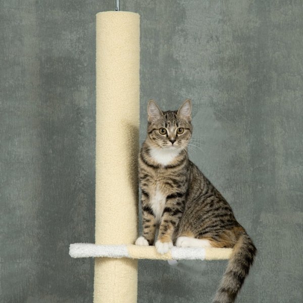Rootz golv-till-tak kattträd - Justerbar kattskrapstolpe - Klättertorn - Furu - Mjuk plysch - Spånskiva - 47cm x 34cm x 220-260cm