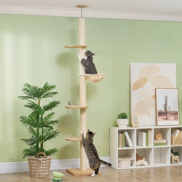 Rootz golv-till-tak kattträd - Katttorn - Skrapstolpe - Justerbar höjd - Trämaterial - 40cm x 40cm x 230-250cm