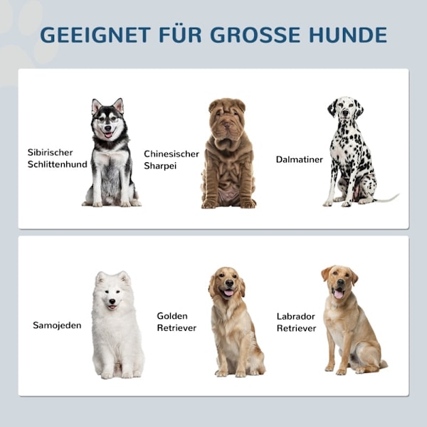 Rootz forhøjede hundeskålesæt - Hævet foder til kæledyr - Justerbar højde - Rustfri stålskåle - Store hunde - 60 cm x 30 cm x 43 cm