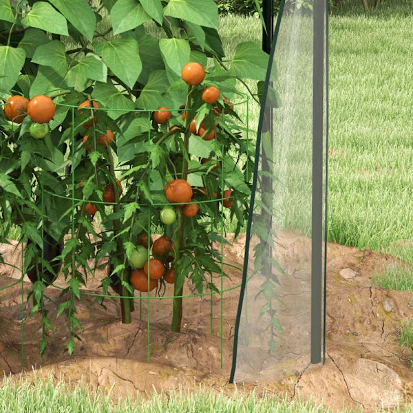 Rootz Drivhus - Cold Frame Drivhus - Film Drivhus - Mini Drivhus - Stål - Plastik - Gennemsigtig + Sort - 90 cm x 90 cm x 145 cm