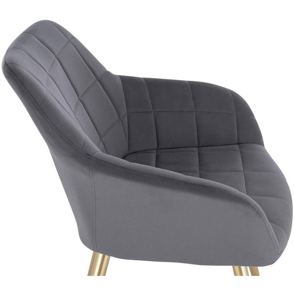 Rootz Velvet Spisestuestole - Golden Leg Chairs - Elegant siddeplads - Komfortabel, holdbar, nem montering - 43 cm x 55 cm x 81 cm