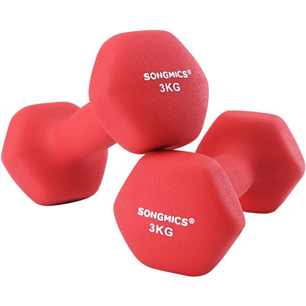 Rootz Hantlar - Halterset - Set Van 2 - 2 x 3 kg - Rod - 20 x 9 x 8,5 cm