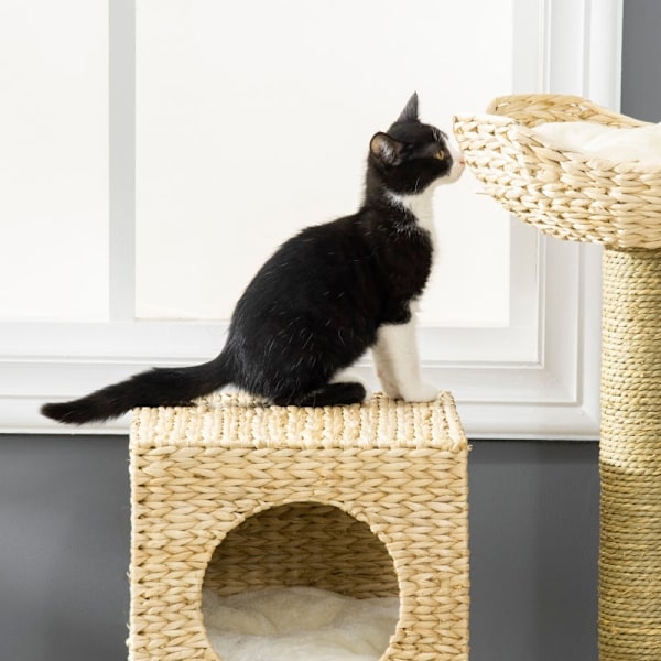 Rootz Cat Tree-kradsestolpe - Klatretræ i flere niveauer - Hyggeligt kattehus - Sisal-kradsestolpe - Spånpladeramme - 57 cm x 37 cm x 100,5 cm