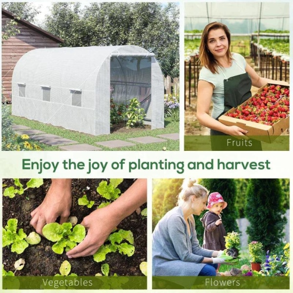 Rootz Foil Greenhouse - Kasvihuone - Plant House - Walk-in kasvi