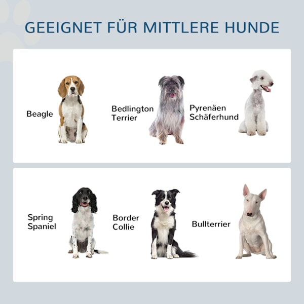 Rootz Elevated Dog Feeding Station - Pet Feeder - Dog Bowl Stand - Fremme sund spisning - 50 cm x 24 cm x 22 cm - Opbevaring og langsom feedermåtte, h