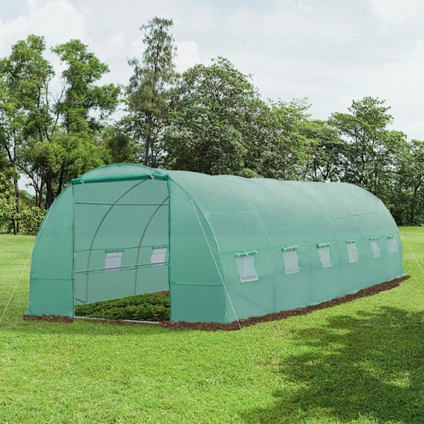 Rootz Tomato Greenhouse - Kalvokasvihuone - Kasvihuone - Tunnelikylmäkehys - Vihreä - 800 x 300 x 200 CM