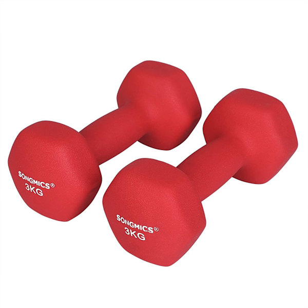 Rootz Hantlar - Halterset - Set Van 2 - 2 x 3 kg - Rod - 20 x 9 x 8,5 cm