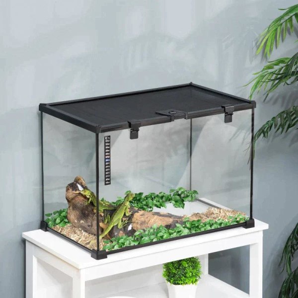 Rootz Terrarium - Terraario matelijoille - Matelijoiden syöttölaatikko - Lasiterraario - Sammakkohämähäkit lämpömittarilla Matelijan kasvatuslaatikko