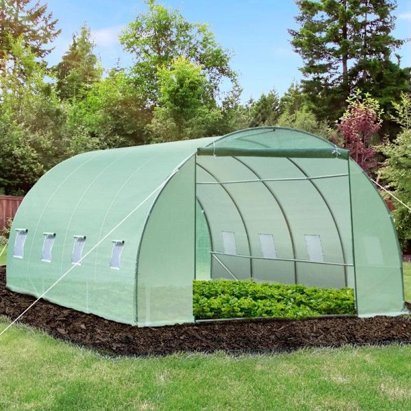 Rootz Foil Greenhouse - Tomaattikasvihuone - Tunnelikylmäkehys - Kasvihuone - Tomaattifoliokasvihuone - Vihreä - 590 X 300 X 200 CM