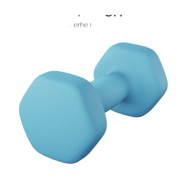 Rootz 2 set hantel - hanteluppsättning - neoprenbelagda vikter - styrka träning 16 cm x 8 cm - 2x2 kg