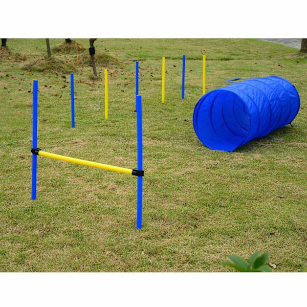 Rootz Dog Agility Tunnel - Gul, Blå - Pe, Polyester - 58,26 cm x 60 cm x cm