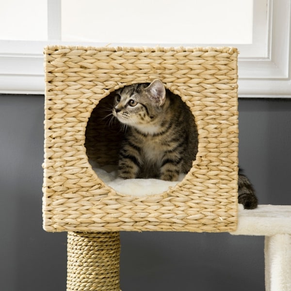 Rootz Cat Tree Skrapstolpe - Flera nivåer Klätterträd - Mysigt katthus - Sisal Skrapstolpar - Spånskiva Ram - 57cm x 37cm x 100,5cm