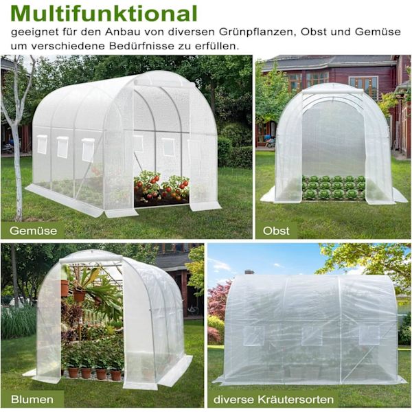 Rootz Premium Large Walk-In drivhus - Havedrivhus - Planteskjul - Vejrbestandigt PE Mesh - Rummeligt 6m² interiør - Robust 19 mm stålramme - 300 cm x