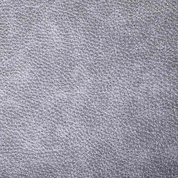 Rootz hundbänk - grå - trä, läder, skum - 26,77 cm x 16,14 cm x 12,59 cm