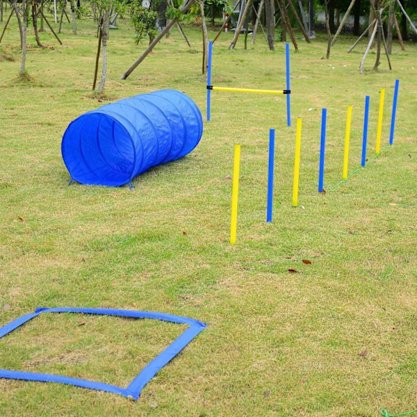 Rootz Dog Agility Tunnel - Gul, Blå - Pe, Polyester - 58,26 cm x 60 cm x cm