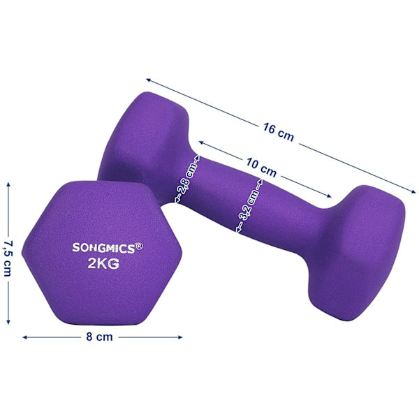 Rootz käsipainot - Käsipainosetti - 2 - 2 x 2 kg - Käsipainot - Purppura - Naiset
