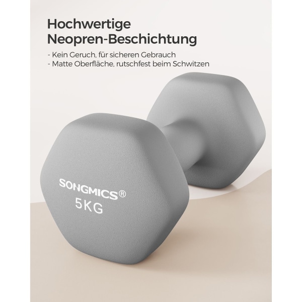 Rootz Neoprenbelagda Hantlar Set - Gråa handvikter - Hantlar i gjutjärn - Neoprenbeläggning - Ergonomiskt handtag - 21cm x 10cm - 11,5cm x 4,1cm - 2 x