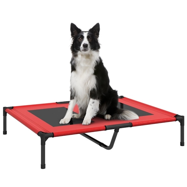 Rootz bærbar kæledyrsseng - Letvægtshundeseng - Højtstående kæledyrsseng - Oxford-stof - Meshbetræk - Let at rengøre - 92 cm x 76 cm x 18 cm