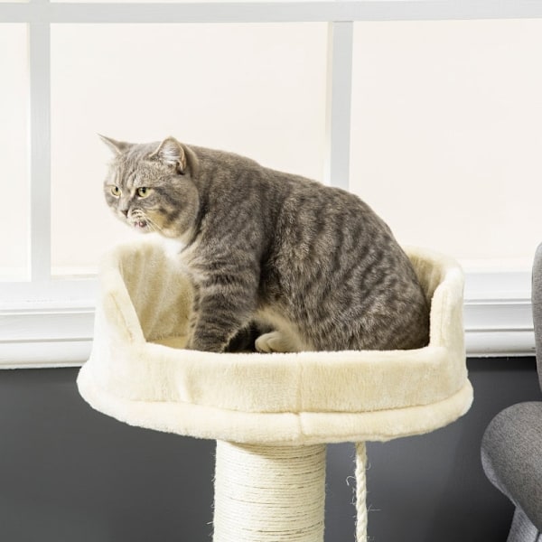 Rootz Cat Tree Play Tower - Raaputustolppa - Kiipeilytoimintakeskus - Pehmomukavuus - 55 cm x 55 cm x 83 cm