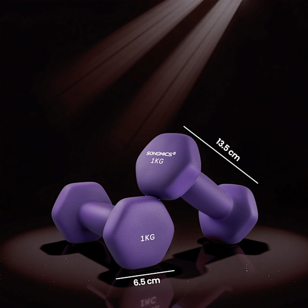 Rootz Dumbell Set - Gratis vikter - Träningsvikter - Neoprenbeläggning - 13,5 cm x 6,5 cm - Perfekt för styrketräning och träningspass