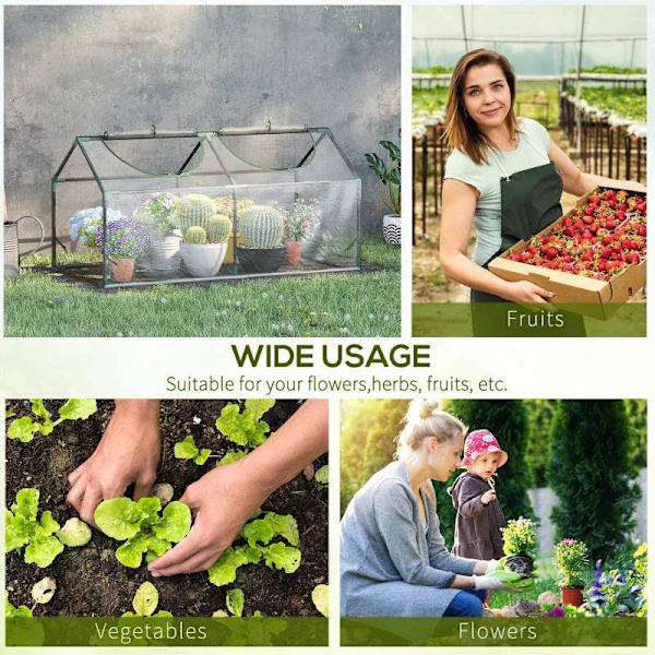 Rootz Greenhouse - Kalvokasvihuone ikkunalla - PVC-kasvihuone - Tomaattitalo - Kylmäkehys - Läpinäkyvä - 120 x 60 x 60 cm
