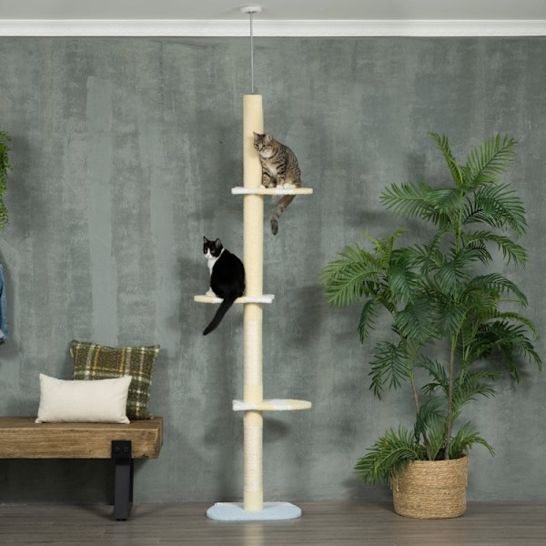 Rootz golv-till-tak kattträd - Justerbar kattskrapstolpe - Klättertorn - Furu - Mjuk plysch - Spånskiva - 47cm x 34cm x 220-260cm