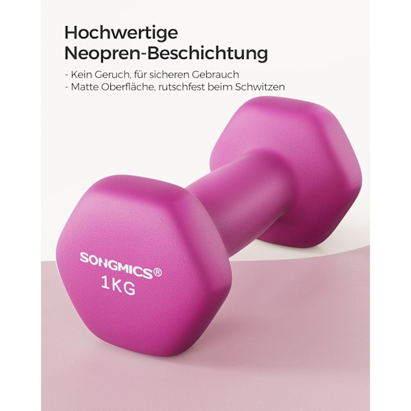 Rootz 2-delat set rosa hantlar - Gjutjärn - Neoprenbeläggning - Toning - 13,5 cm x 6,5 cm - 1 kg x 2