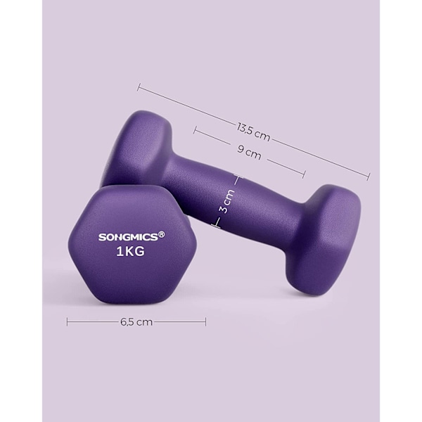 Rootz 2-delade hantlar - Handvikter - Styrketräning - Neoprenbeläggning - 13,5 cm x 6,5 cm - 2 x 1 kg