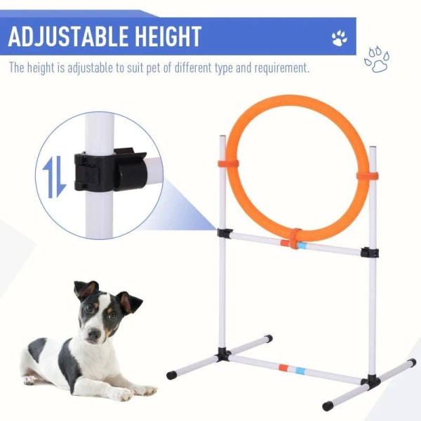 Rootz Dog Agility Set - Träningsset för husdjur - Träningsset fö