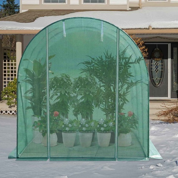 Rootz Premium Large Greenhouse - Trädgårdsinhägnad - Planthus - Optimal tillväxt, hållbar, enkel montering - 300 cm x 200 cm x 200 cm - Galvaniserat s