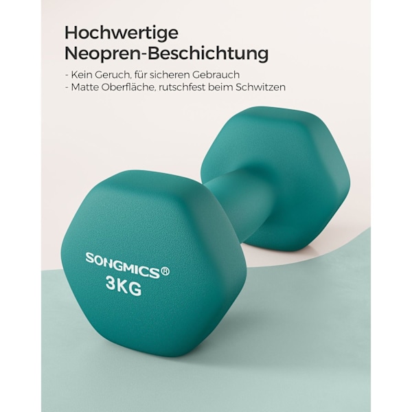 Rootz 2-delade hantlar - Vikter - Neoprenbelagd - Styrketräning - 20 cm x 9 cm - 11,5 cm x 3,8 cm