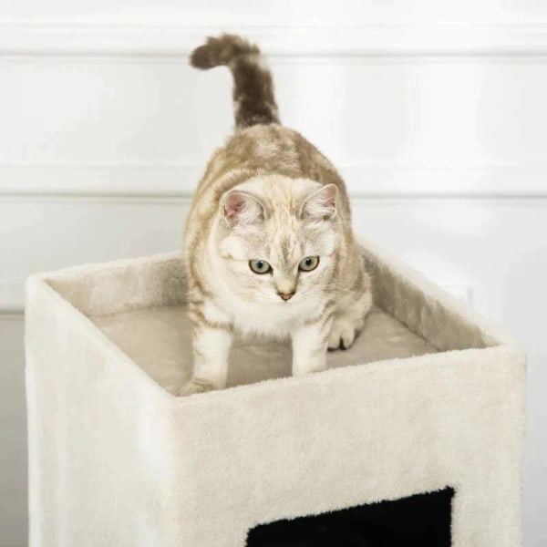 Rootz kradseløb til katte - Kattekradsestolpe - 3 niveauer Katte