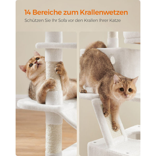 Rootz Cat Skrapstolpe - Kattträd - Skrapare - Spånskiva - Plysch - Sisal - Robust konstruktion - Enkel montering - 55cm x 45cm x 168cm