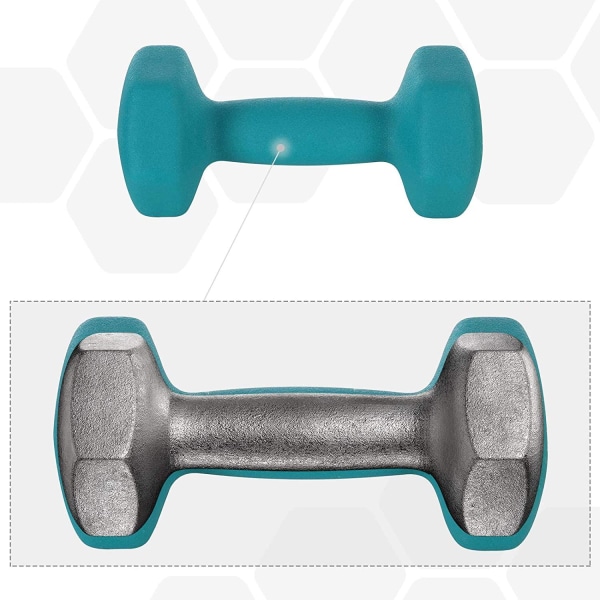 Rootz Dumbbells Set - Hantlar - Hexagonal - Hantelställ - 1 kg - 2 kg - 3 kg - Styrketräning - Limegrön - Akvamarin - Ljusgrå