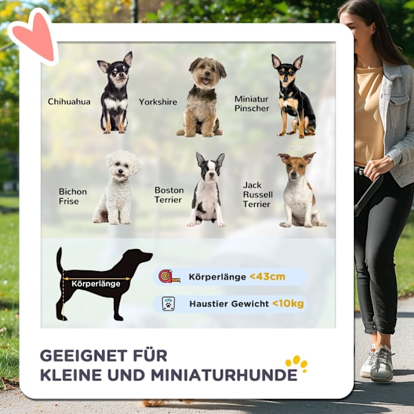 Rootz Dog Buggy Pet Stotaler - Koirakärry - Kissan buginen - palautuva kahva - 76,5 x 52 x 95 cm
