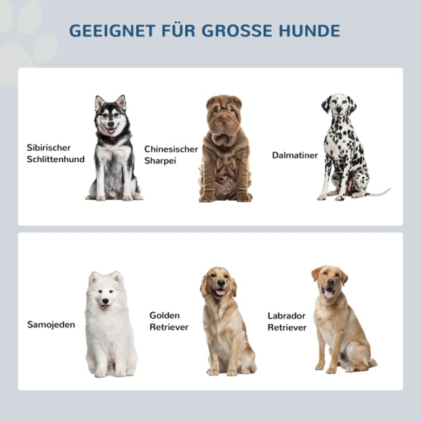 Rootz PawHut Hundefoderstation - Foderstation til kæledyr - Forhøjet hundefoder - Rigelig opbevaring - Sikre magnetdøre - Hygiejniske skåle i rustfrit