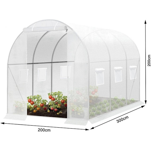Rootz Premium Large Walk-In drivhus - Havedrivhus - Planteskjul - Vejrbestandigt PE Mesh - Rummeligt 6m² interiør - Robust 19 mm stålramme - 300 cm x