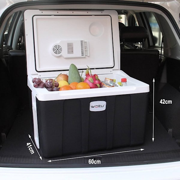 Rootz 50L Portable Electric Cooler Warmer - Resekyl - AC/DC Adapter - Stor kapacitet - Tyst teknik - 60cm x 41cm x 42cm