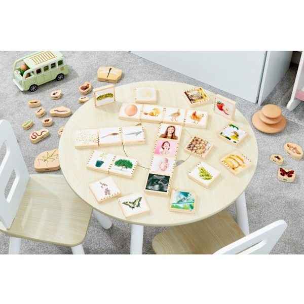 Koulutuspeli - TickiT - Elämänkierto - 24 osaa - Poppelivaneri - 12 kuukautta ja yli Beige